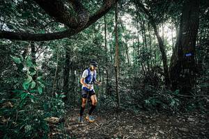 BIB: 
                            <button type="button" onclick="openModal(25390028)" class="btn btn-primary btn-sm float-right btn-popup" data-toggle="modal" data-target=".modal-high-quality">
                        <i class="fas fa-shopping-cart"></i> Add to Cart
                    </button>
                                            <button type="button" onclick="isThisMe(25390028, true)" class="btn btn-success btn-sm float-right btn-popup btn-isme hidden" data-toggle="tooltip" data-placement="bottom" title="นี่คือรูปของคุณใช่ไหม คลิกที่นี่เพื่อเอาเข้าอัลบั้ม">
                        <i class="fas fa-plus"></i> Add to album
                    </button>
                    <button type="button" onclick="isThisMe(25390028, false)" class="btn btn-warning btn-sm float-right btn-popup btn-isnotme hidden">
                        <i class="fas fa-ban"></i> Remove from album
                    </button>